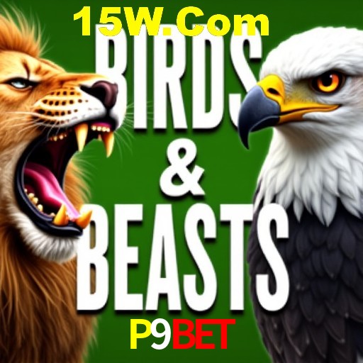Apostas Esportivas na P9Bet: Um Guia Completo